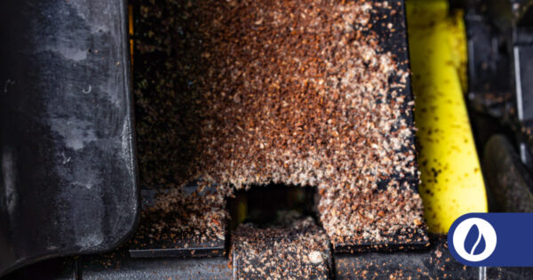 The Maintenance Step Most Bean to Cup Owners Get Wrong